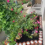 Ferienwohnung Appartamento *