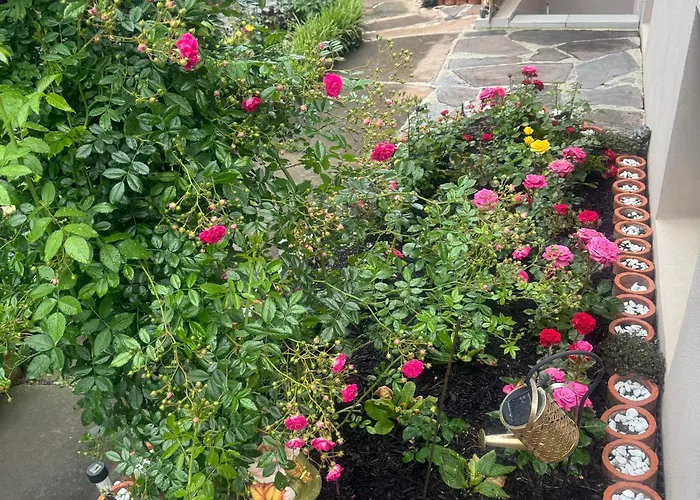 Ferienwohnung Appartement *